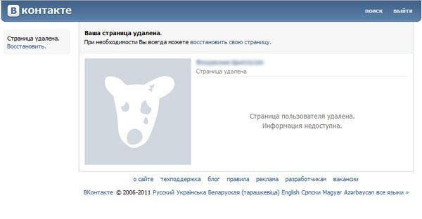 Замена "ВКонтакте": канадские программисты предложили создать украинский аналог соцсети