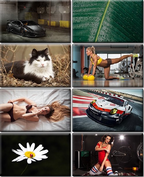 LIFEstyle News MiXture Images. Wallpapers Part (1229)