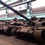 Армии передали 50 танков Булат