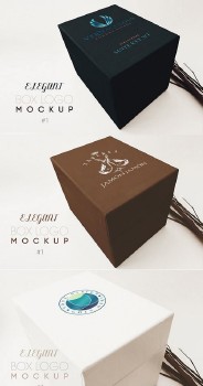 Elegant Box Logo Mockup