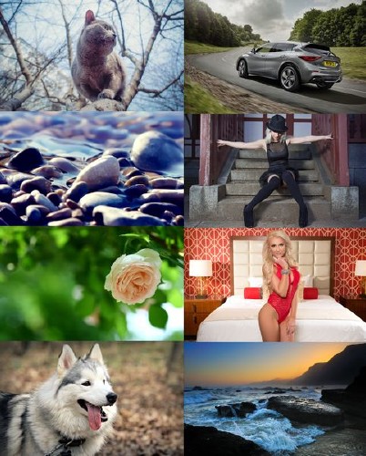 Wallpapers Mix №559