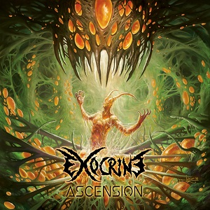 Exocrine - Ascension (2017)