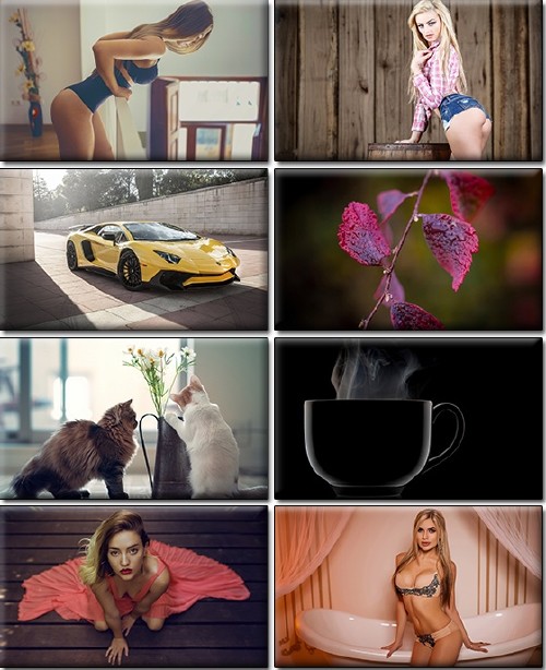 LIFEstyle News MiXture Images. Wallpapers Part (1242)
