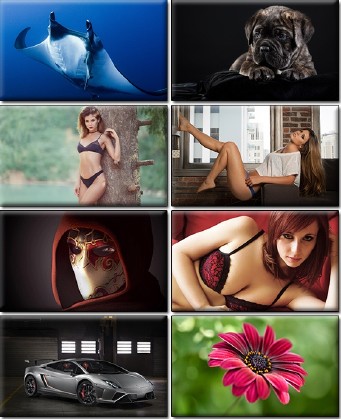 LIFEstyle News MiXture Images. Wallpapers Part (1243)