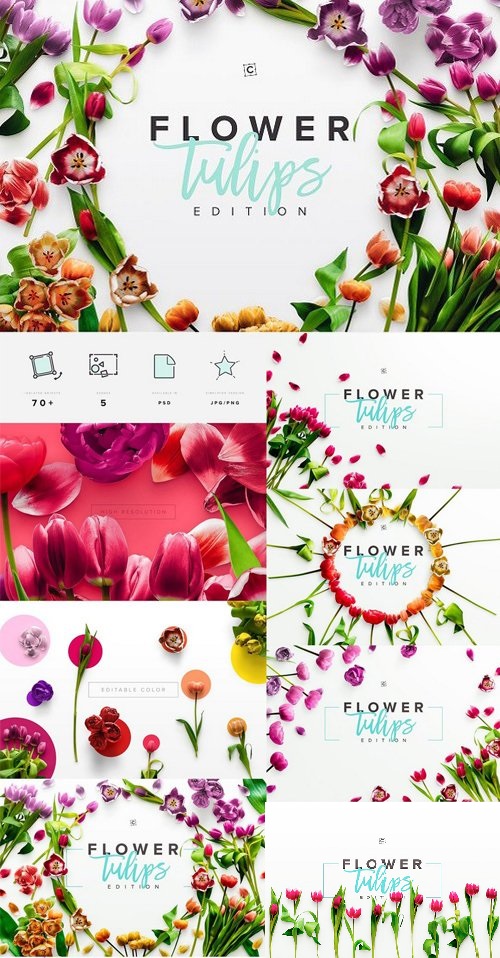 Flower Tulips Edition - Custom Scene 1491275