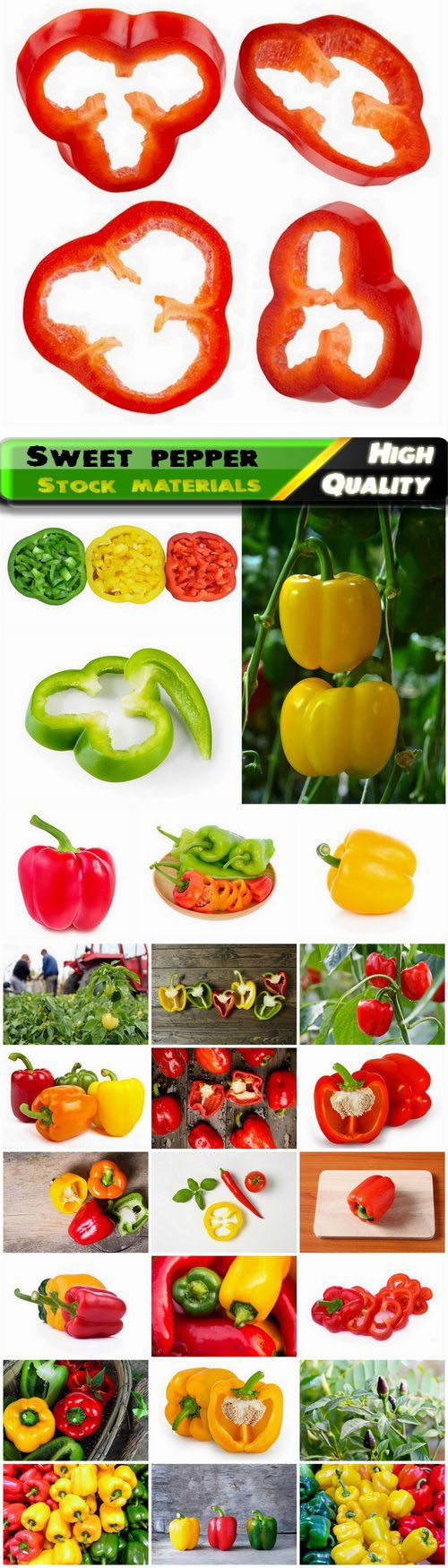 Sweet pepper a kind of perennial herbaceous plants 25 HQ Jpg