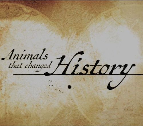 ,    / Animals that changed History [1 ] (2015) HDTVRip  Kaztorrents | P1