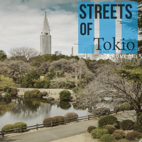VA - Streets Of Tokio Vol.1 Wonderful Down Beat and Chill Out Music (2017)