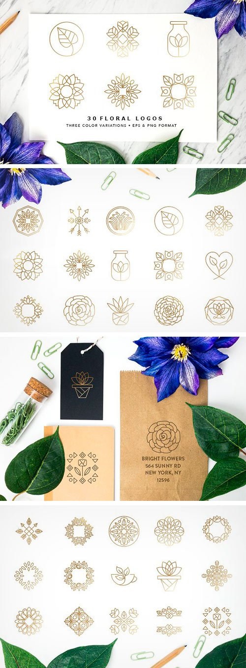 Floral Logo Collection EPS & PNG - 1500057