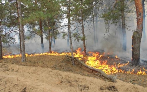 В Херсонской области сутки тушат лесной пожар