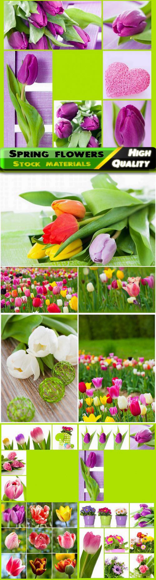 ollage and fields with spring flowers and tulips 10 HQ Jpg