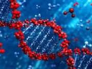 В США намерены официально утвердить методику лечения рака при помощи генетически модифицированных клеток самих пациентов / Новости / Finance.UA