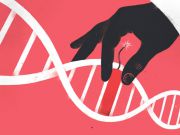 Ученые записали анимацию в ДНК с поддержкой CRISPR и воспроизвели ее / Животрепещуще / Finance.UA