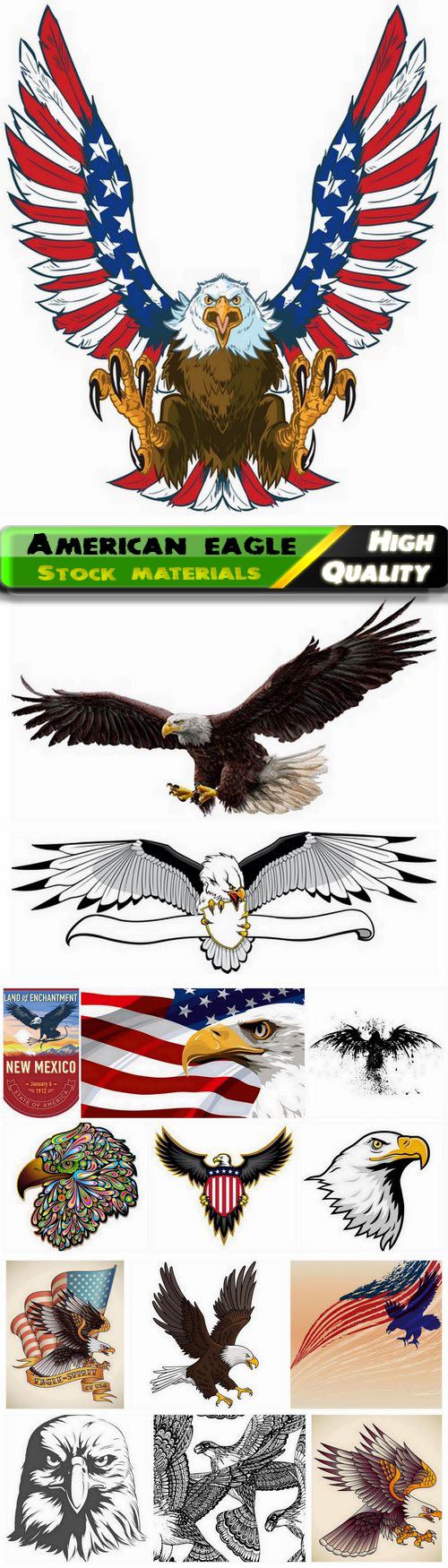 Wild animal is predatory bird American eagle 15 Eps