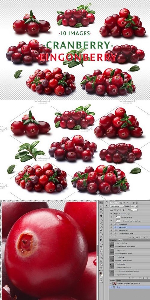 Cranberry & lingonberry 1635932