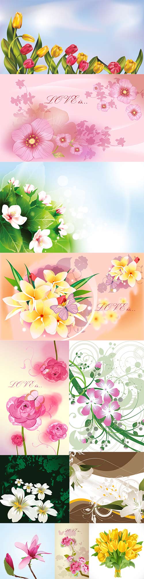 Beautiful vector different flowers - 2