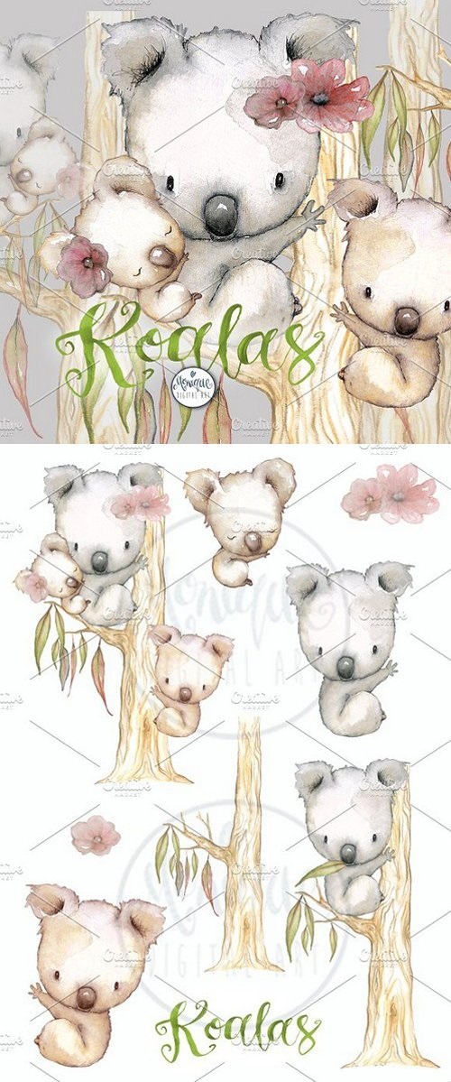 Koala Clipart Watercolor 1636848