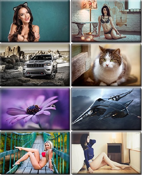 LIFEstyle News MiXture Images. Wallpapers Part (1270)