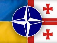 В Грузии завершились интернациональные военные учения с участием Украины и НАТО