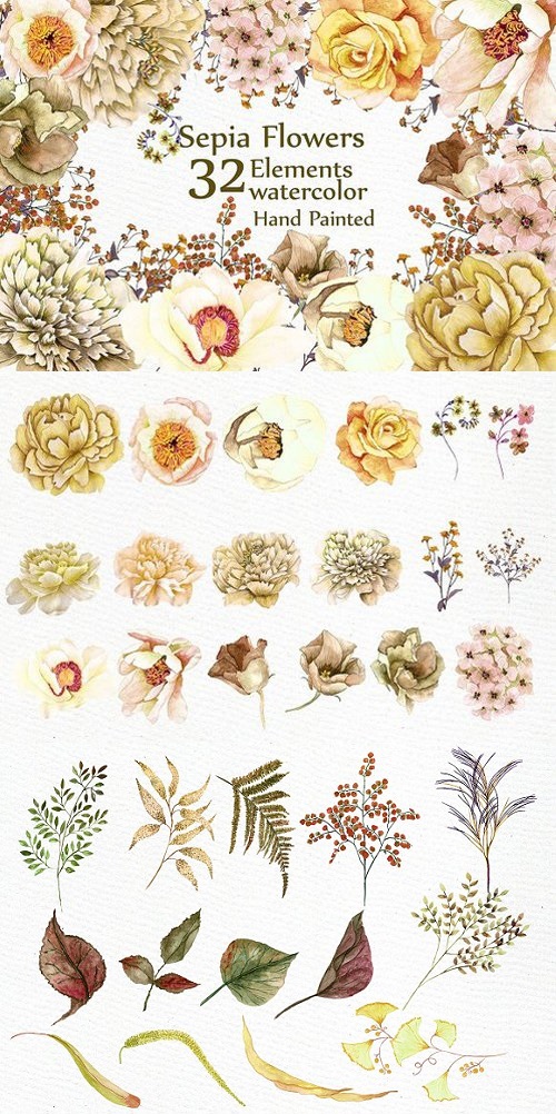 Watercolor Sepia flowers Clipart 1632764
