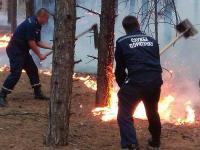 На Николаевщине «ползущим» пожаром облаплено 50 гектаров леса(фото)
