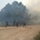 В двух областях Украины горят леса