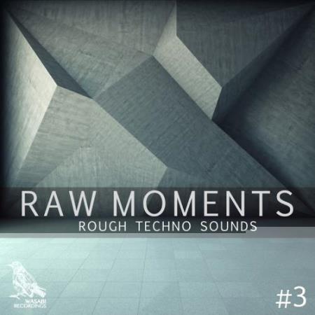 Raw Moments, Vol. 3 - Rough Techno Sounds (2017)