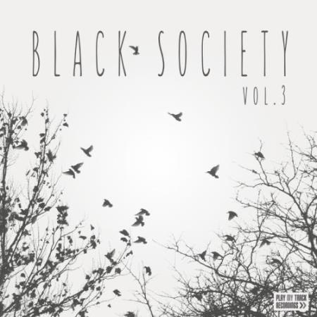 Black Society, Vol. 3 (2017)