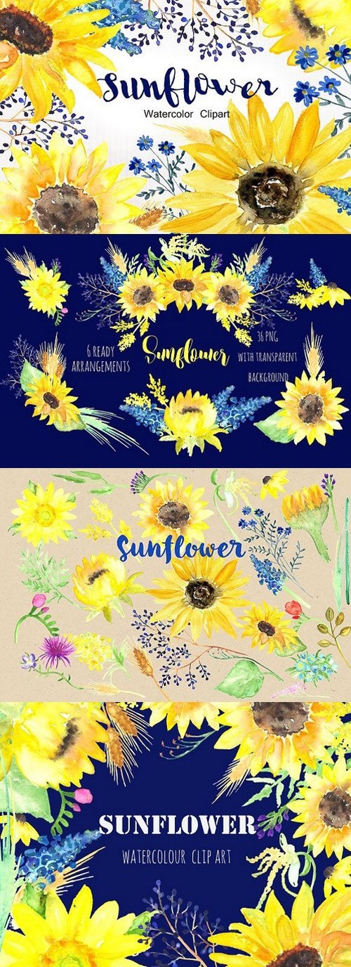 Sunflower Watercolor Clip Art 253219