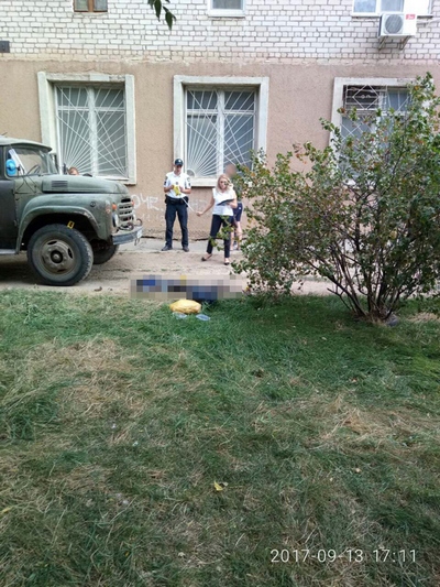 В Николаеве первоклассника задавил самосвал, мама ребятенка двукратно спасали от суицида