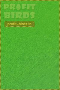 Profit-Birds.biz - Зарабатывайте на Птичках De4b4ffb03f0205995af9da4dd36f975