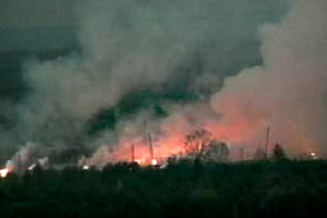 Пожар в Красноградском лесхозе на Харьковщине всецело ликвидирован