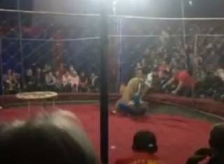 В русском цирке львица чуть не растерзала трехлетнюю девченку(видео 18+)