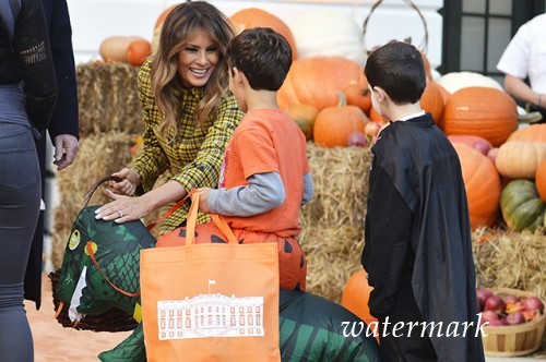 Дональд и Мелания Трамп отпраздновали Хэллоуин с детьми