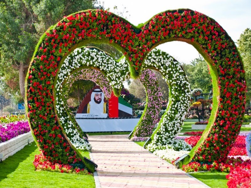 Неповторимый дизайн цветочного парка al ain paradise garden в объединённых арабских эмиратах