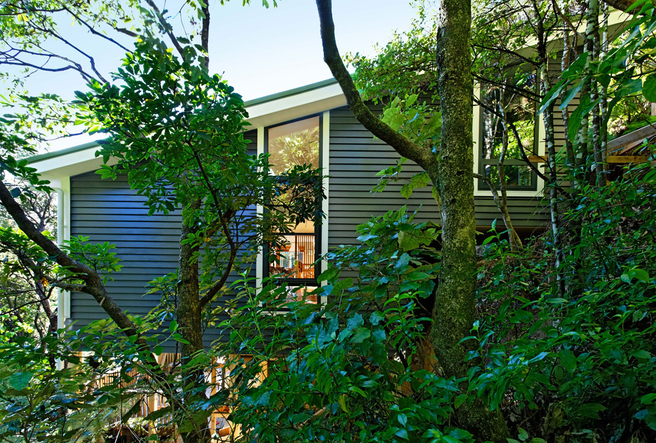 Роскошь и уют деревянного интерьера дома в york bay от paul rolfe architects, новая зеландия