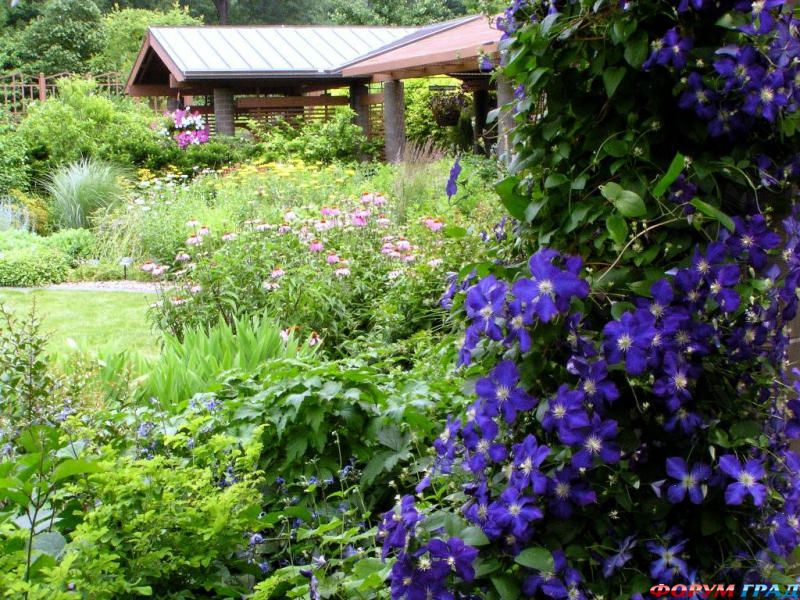 Великолепный ботанический сад в штате миссури (сша)