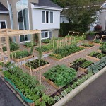 Дизайн-идеи красивых домашних огородов