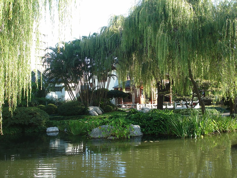 Китайский сад — шаг за шагом к гармонии между внутренним миром и окружающей природой