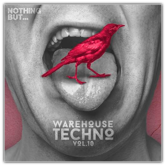 Nothing But... Warehouse Techno, Vol. 10 (2017)
