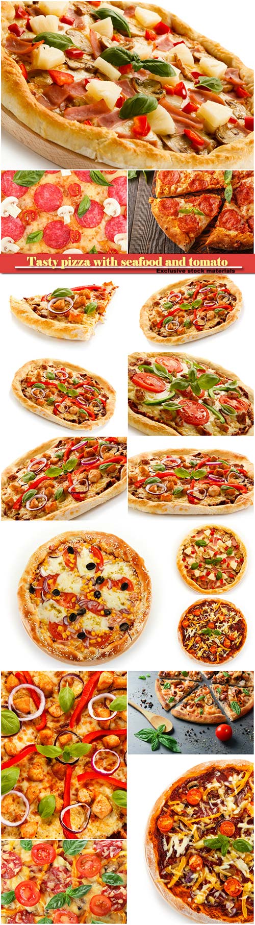 Tasty pizza with seafood and tomato, mushrooms and salami