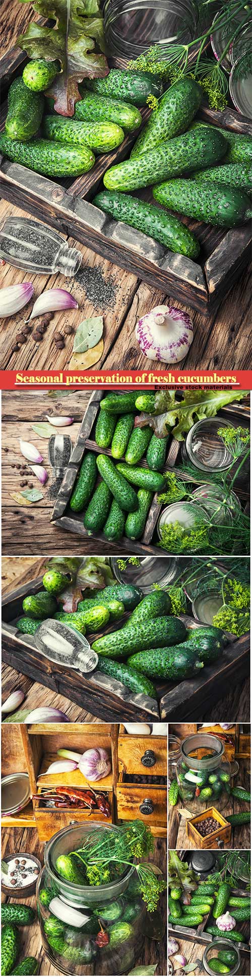 Seasonal preservation of fresh cucumbers for the winter