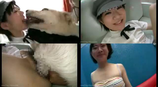 3f1b64d577cf192669a161f76f43e784 - China Shcoolgirl Bestiality / AnimalSex Video