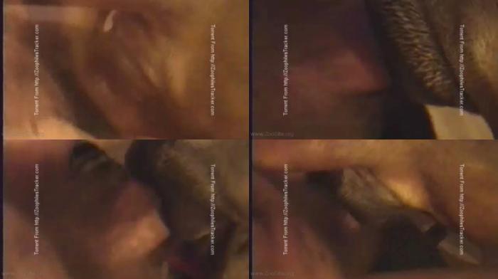 c5e9e5de69173434c3f1aff7d4b765b6 - Animal Sex - Female Dog - Man Fucks Great Dane / AnimalSex Video